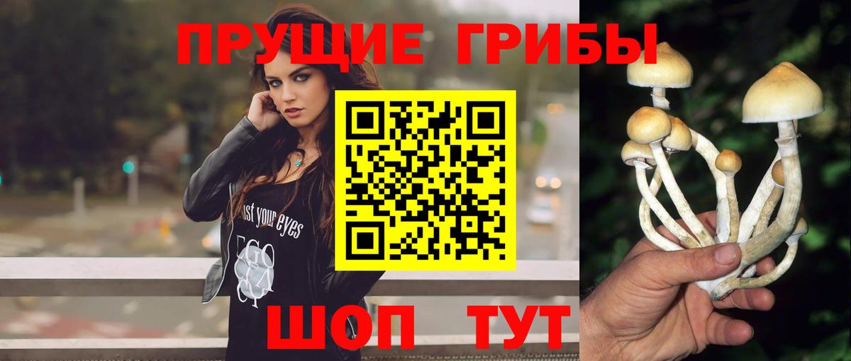 Йошкар-Ола  Галлюциногенные грибы прущие грибы  Вход с VPN 